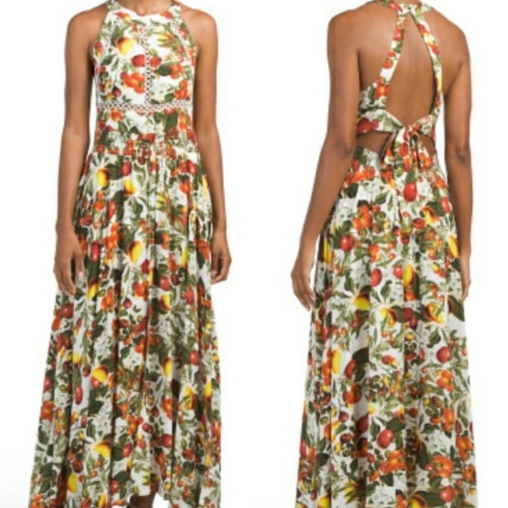 Tomato Print Halter Maxi Dress Tomato Festival